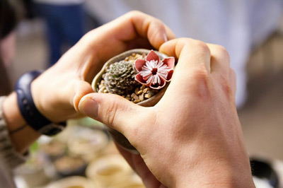 Plants for Patients.jpg