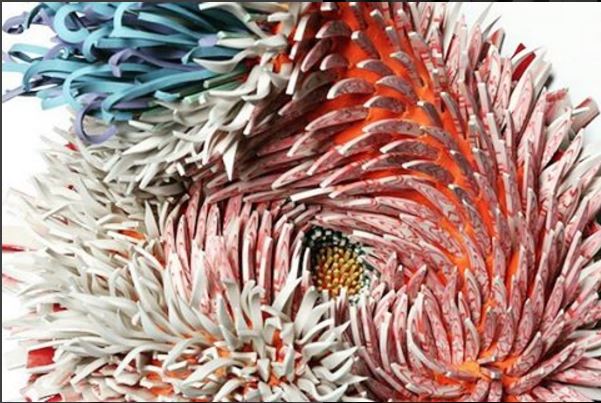 @zemerpeledart for #PIAAdoptedCountry